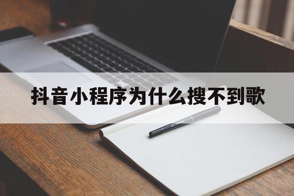 抖音小程序为什么搜不到歌