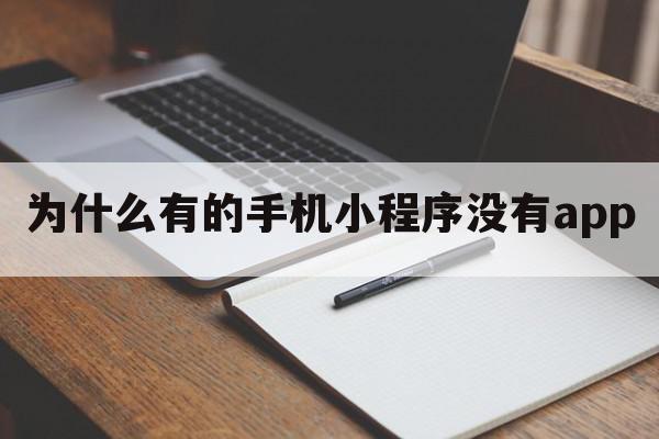 为什么有的手机小程序没有app