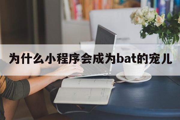 为什么小程序会成为bat的宠儿