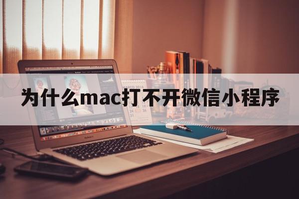 为什么mac打不开微信小程序