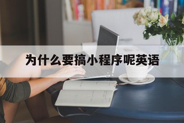 为什么要搞小程序呢英语