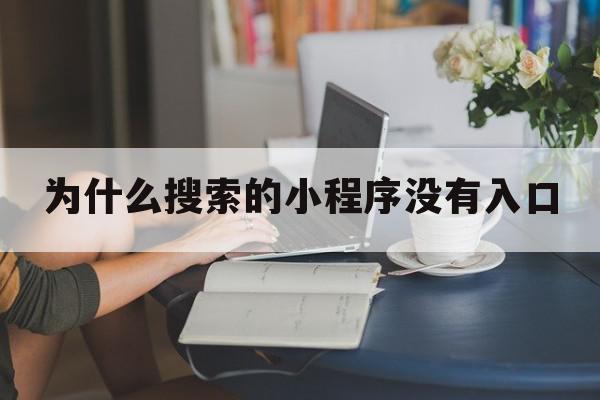 为什么搜索的小程序没有入口