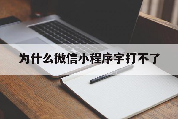 为什么微信小程序字打不了