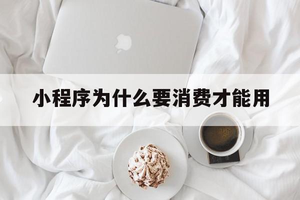 小程序为什么要消费才能用