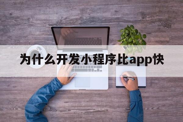 为什么开发小程序比app快