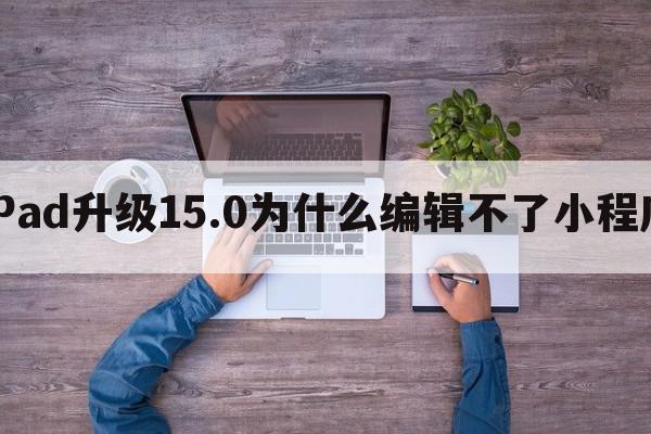 iPad升级15.0为什么编辑不了小程序