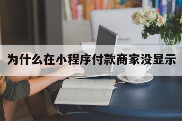 为什么在小程序付款商家没显示