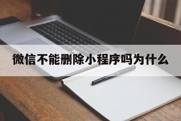 微信不能删除小程序吗为什么