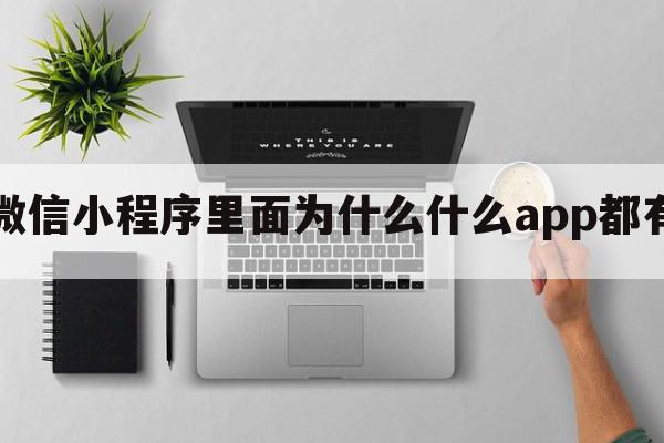 微信小程序里面为什么什么app都有