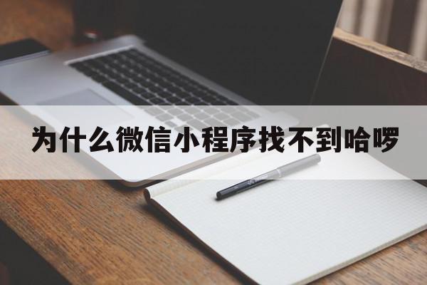 为什么微信小程序找不到哈啰