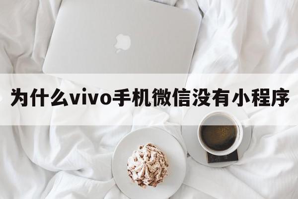 为什么vivo手机微信没有小程序