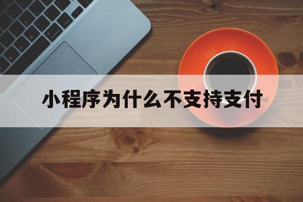 小程序为什么不支持支付