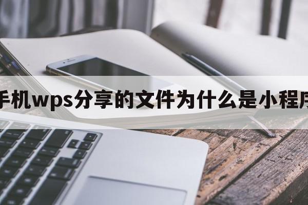 手机wps分享的文件为什么是小程序