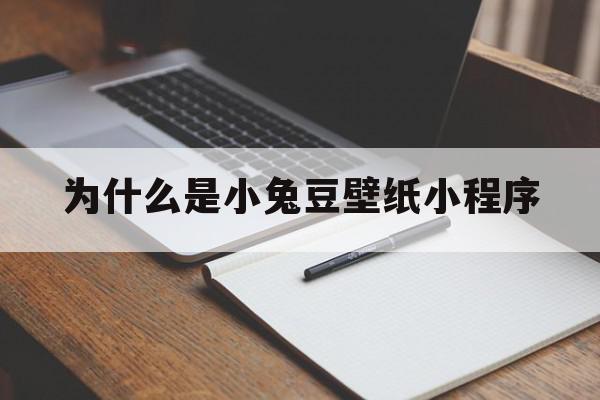 为什么是小兔豆壁纸小程序