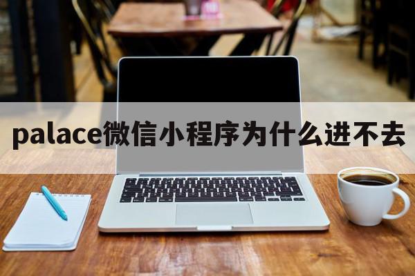 palace微信小程序为什么进不去