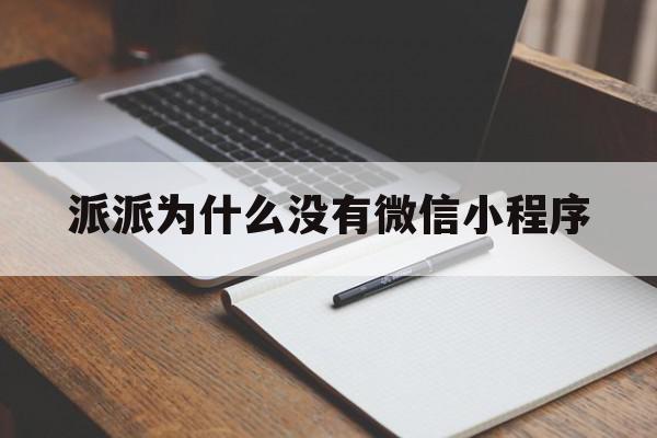 派派为什么没有微信小程序