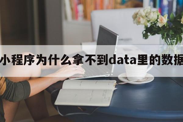 小程序为什么拿不到data里的数据