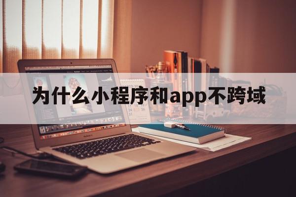 为什么小程序和app不跨域