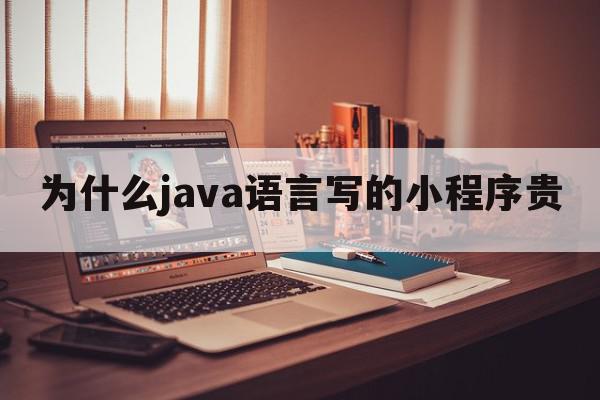 为什么java语言写的小程序贵