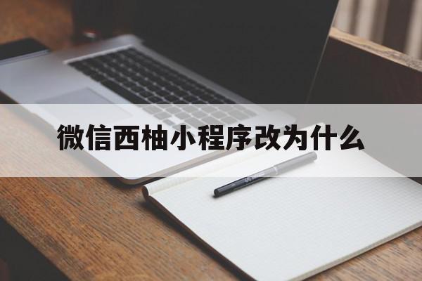 微信西柚小程序改为什么