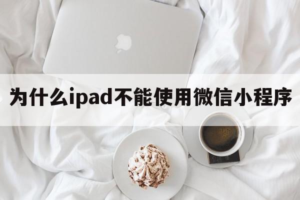 为什么ipad不能使用微信小程序