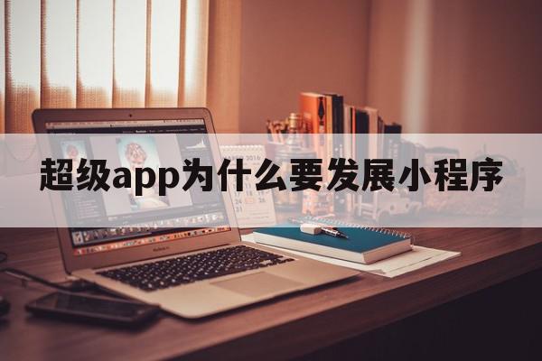 超级app为什么要发展小程序