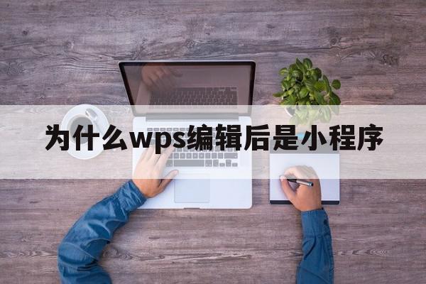 为什么wps编辑后是小程序