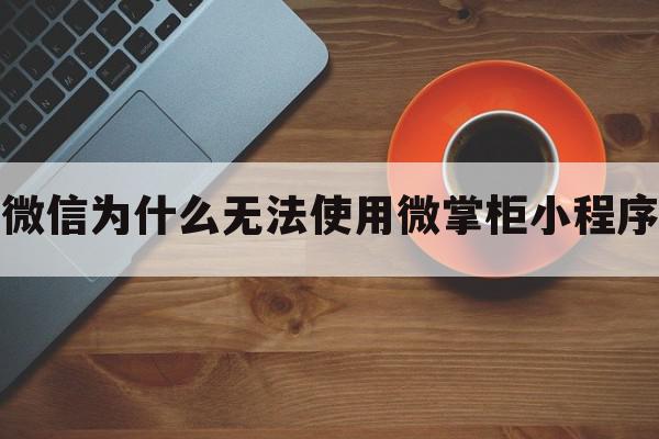 微信为什么无法使用微掌柜小程序