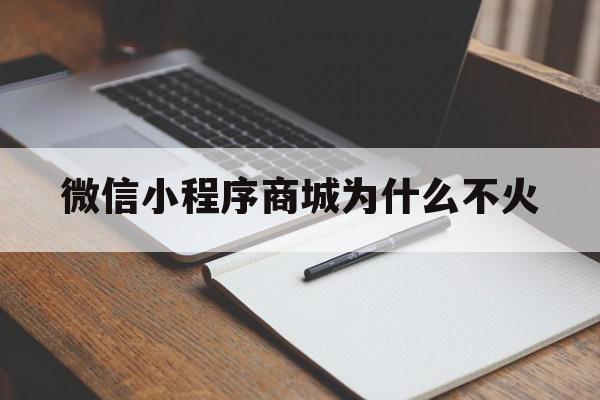 微信小程序商城为什么不火