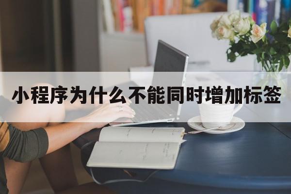 小程序为什么不能同时增加标签