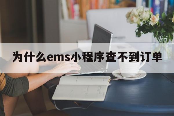 为什么ems小程序查不到订单