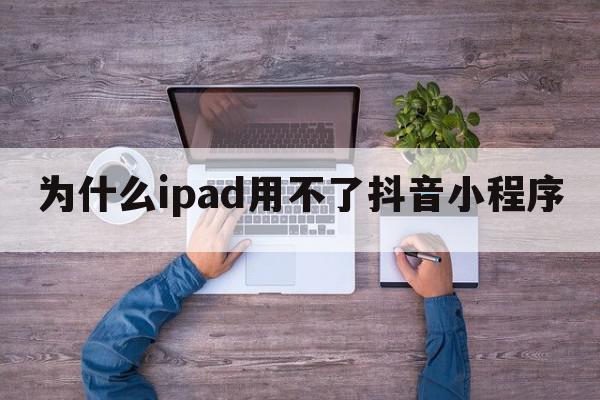 为什么ipad用不了抖音小程序