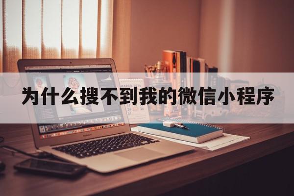 为什么搜不到我的微信小程序