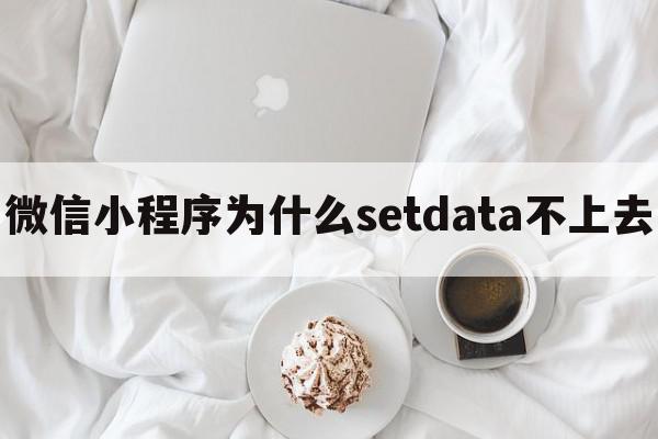 微信小程序为什么setdata不上去