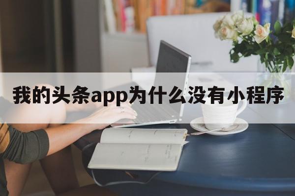 我的头条app为什么没有小程序