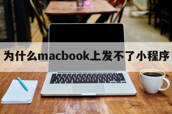 为什么macbook上发不了小程序