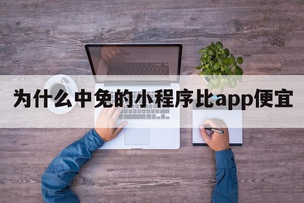 为什么中免的小程序比app便宜