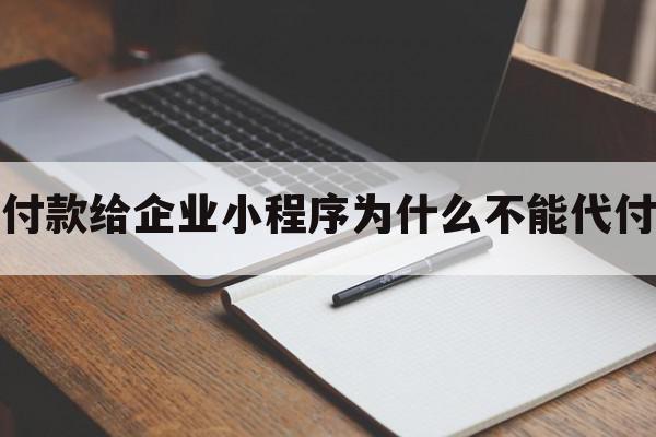 付款给企业小程序为什么不能代付