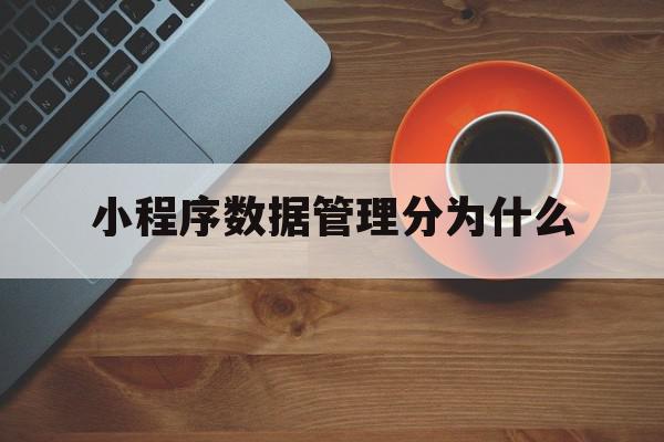 小程序数据管理分为什么