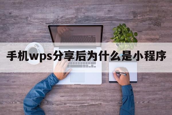 手机wps分享后为什么是小程序