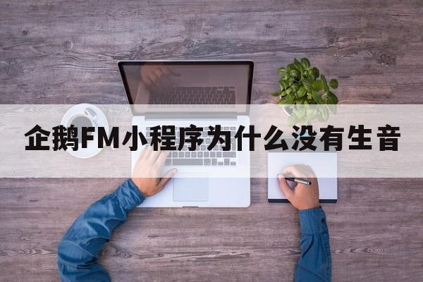 企鹅FM小程序为什么没有生音