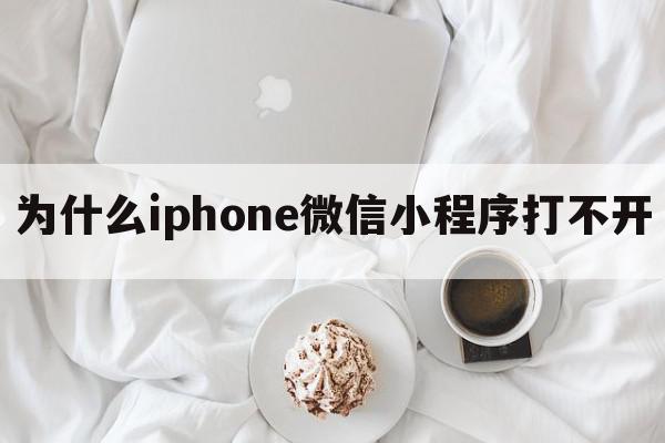 为什么iphone微信小程序打不开