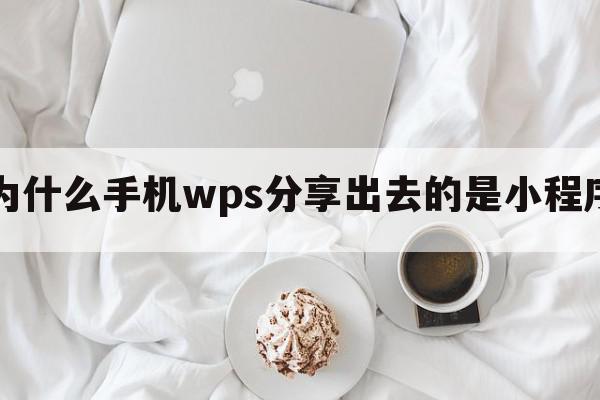 为什么手机wps分享出去的是小程序