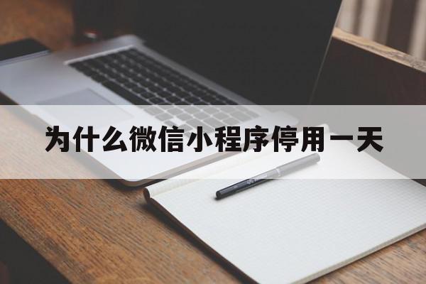 为什么微信小程序停用一天