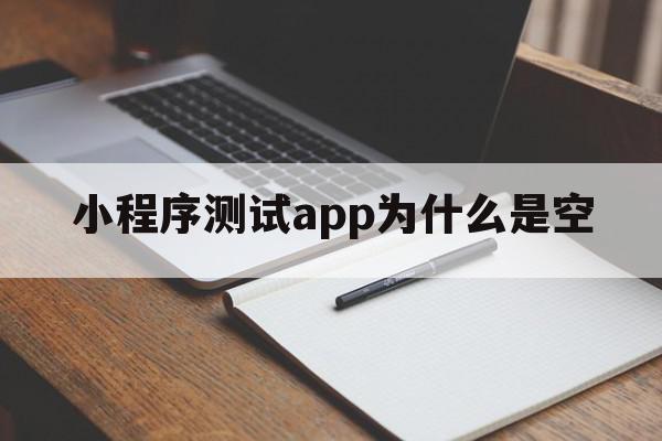 小程序测试app为什么是空