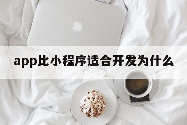 app比小程序适合开发为什么