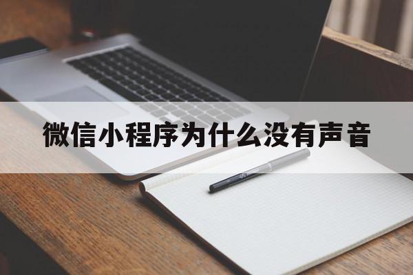 微信小程序为什么没有声音