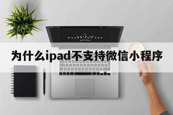 为什么ipad不支持微信小程序