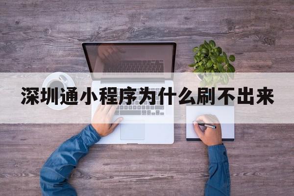 深圳通小程序为什么刷不出来