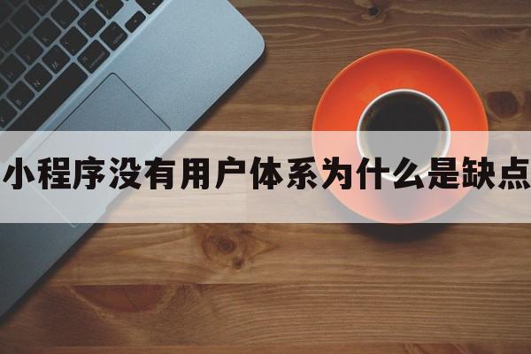 小程序没有用户体系为什么是缺点